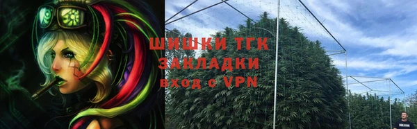 эйфоретик Заводоуковск